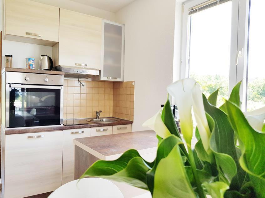 Talija Apartments Krimovica Budua Esterno foto